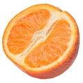 نت نارنگی