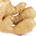 نت زنجبیل