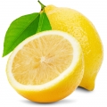 نت لیمو ترش