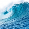 نت نت‌های آبی