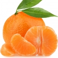 نت نارنگی کلمنتین
